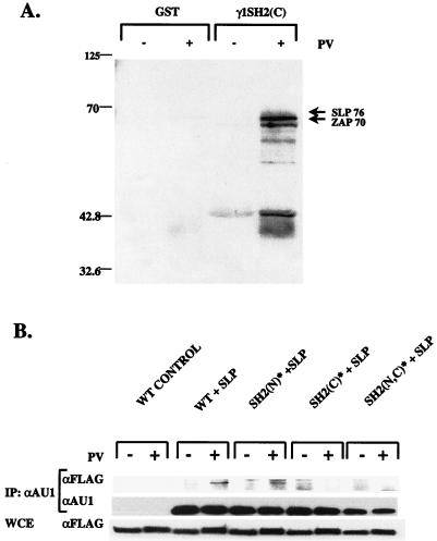 FIG. 9