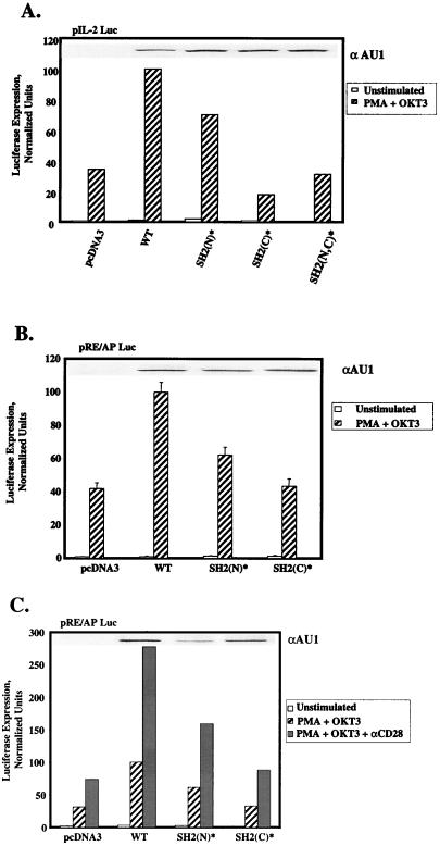 FIG. 6