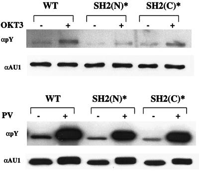 FIG. 7