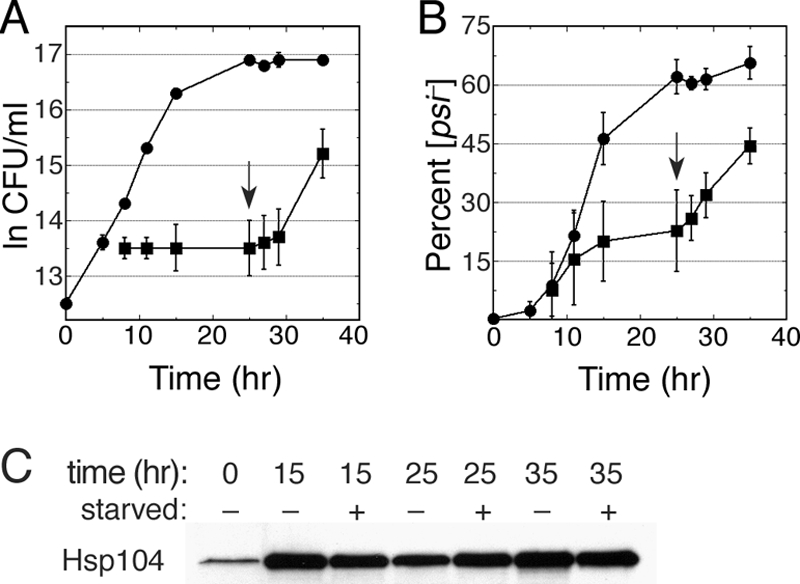 FIG. 7.