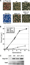 FIG. 1.