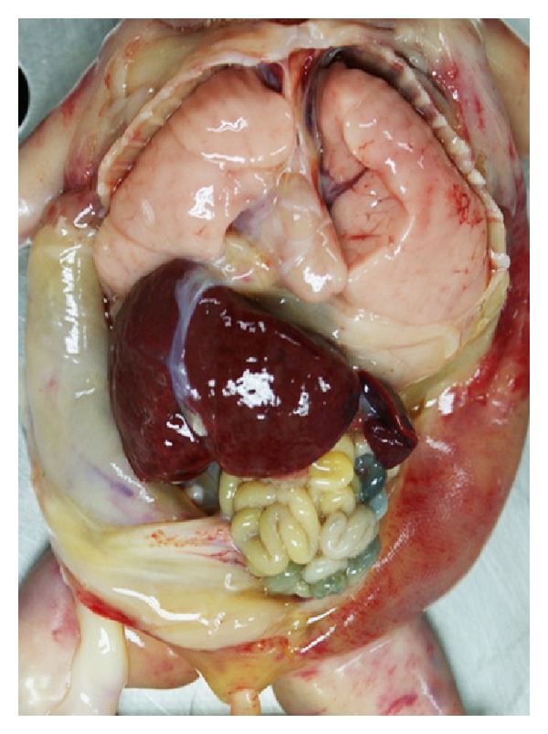 Figure 5