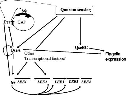 FIG. 8.