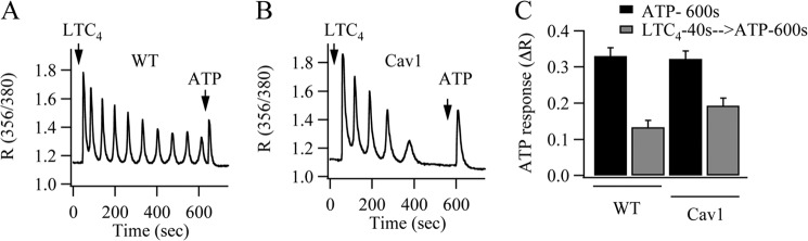 FIGURE 7.