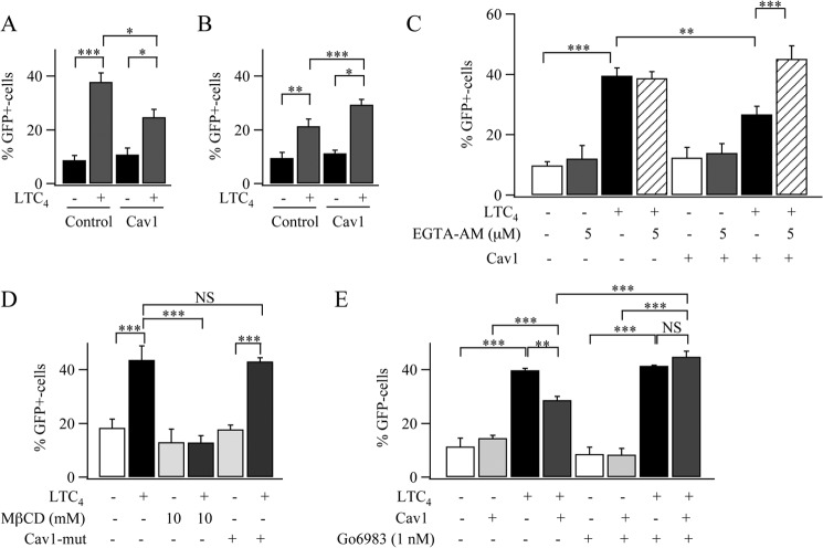 FIGURE 10.