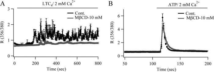 FIGURE 9.