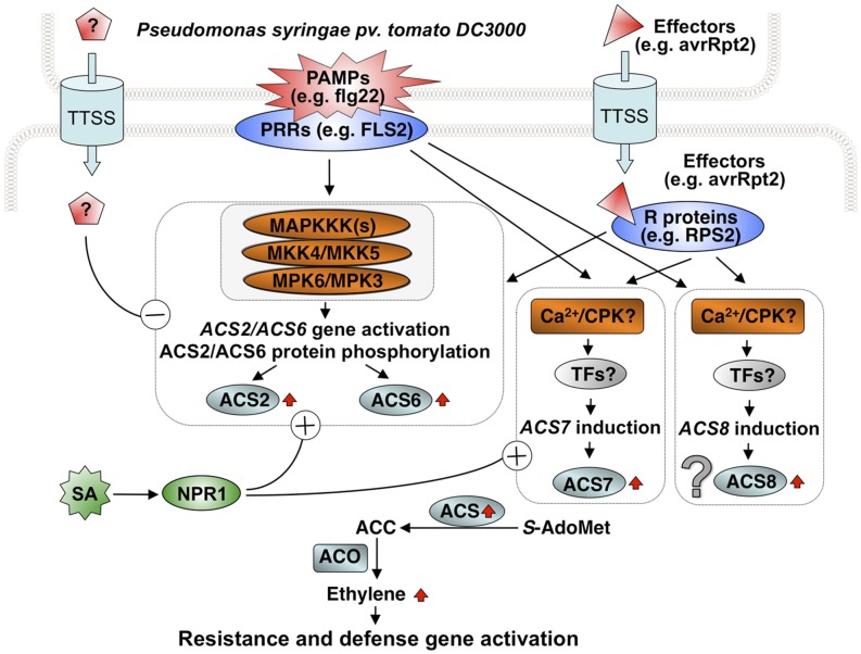 Figure 11.