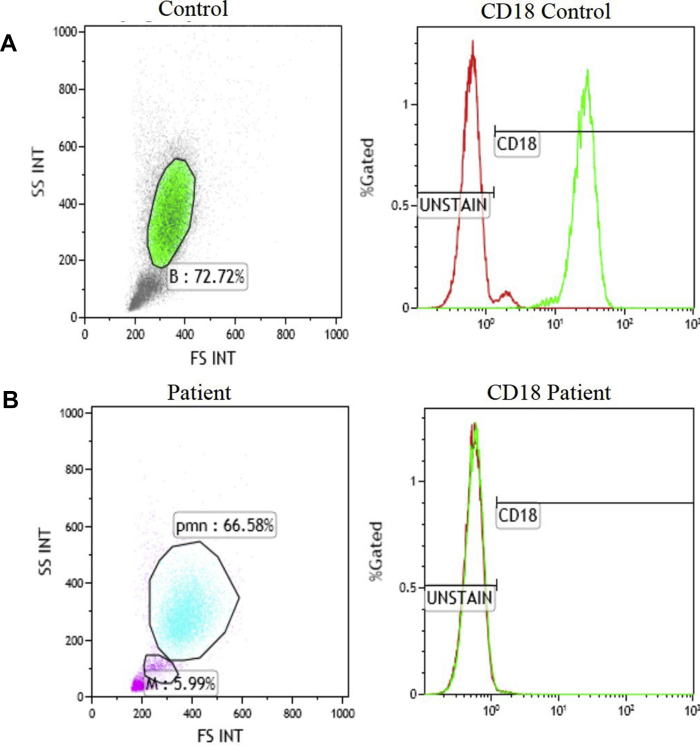 Figure 3