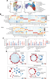 Figure 4. T-cell heterogeneity in glioma and PBMCs. A, Uniform manifold approximation and projection (UMAP) plots displayed 3,942 T cells in glioma samples and 21,318 T cells grouped into seven major subsets in PBMC samples, respectively. B, Dot plots showing expression patterns of classical markers for each T-cell subset in glioma and PBMC samples. C, Violin plots showing cytotoxic and exhausted signature scores for each T-cell subset in glioma and PBMC samples; the nonparametric Wilcoxon rank sum test was used for statistical significance; *, P < 0.05; **, P < 0.01; ***, P < 0.001; ****, P < 0.0001. D, Bubble plots comparing the functional pathways of DEGs in CD4_Naïve, CD4_Stress, Treg, and CD8_Cytotoxicity in glioma versus PBMC samples (Glioma, upregulated pathways in gliomas; PBMC, upregulated pathways in PBMCs).