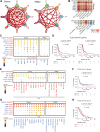 Figure 6. Intercellular interactions among different cell types in tumors and PBMCs. A, Network showing the interactions among different immune cell types. The width of lines denotes the number of interactions. B, Heat map showing the number of significant L-R interactions between T-cell and myeloid cells in glioma (top) and PBMC (bottom). C, Dot plot showing the specific L-R interactions between CD8_Cytotoxicity and myeloid cells compared between glioma and PBMC. D, Kaplan–Meier plots showing the clinical outcomes in glioma patients from TCGA IDH-WT glioma database with high or low expression of SPP1–CD44 and SPP1–ITGA4 (the median as the threshold). Statistics were compared using the log-rank test. E, Dot plot showing the specific L-R interactions between Tregs and myeloid cells compared between glioma and PBMC. F, Kaplan–Meier plots showing clinical outcomes in glioma patients from CGGA IDH-WT glioma database with high or low expression of B2M-KLRC1 (the median as the threshold). Statistics were compared using the log-rank test. G, Dot plot showing the specific L-R interactions between myeloid cells and Treg compared between glioma and PBMC. H, Kaplan–Meier plots showing the clinical outcomes in glioma patients from TCGA IDH-WT glioma database with high or low expression of CCL3–CCR5 (the median as the threshold). Statistics were compared using the log-rank test.