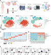 Figure 1. Single-cell transcriptome of tumors and matching PBMCs with glioma. A, The overall study design scheme diagram of immune cells profiling in glioma tumors and PBMCs using scRNA-seq. B, A TSNE plot of 107,142 single cells grouped into seven major cell types from nine glioma patient samples (left, all cells from tumor and PBMC samples; middle, cells from glioma samples; right, cells from PBMC samples). C, Dot plot showing the gene-expression patterns of classical immune cell-type marker genes. D, Bar plot showing the cell-type fraction in all immune cells of each sample. E, The fraction of each cell type among all immune cells compared between gliomas and PBMCs. Each dot represents one sample and the Wilcoxon rank sum test was used to calculate the P value of each compared group.
