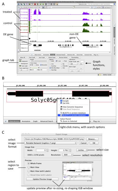 Figure 5