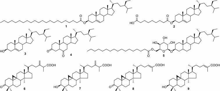 Fig. 1