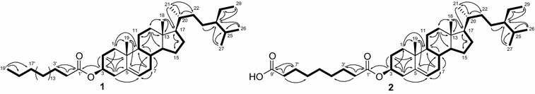 Fig. 2