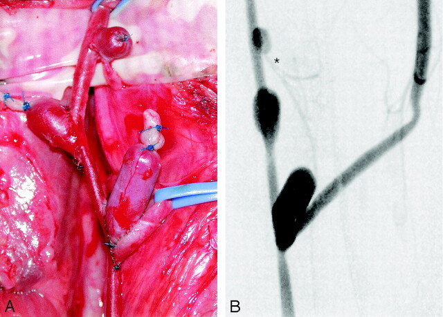 Fig 3.