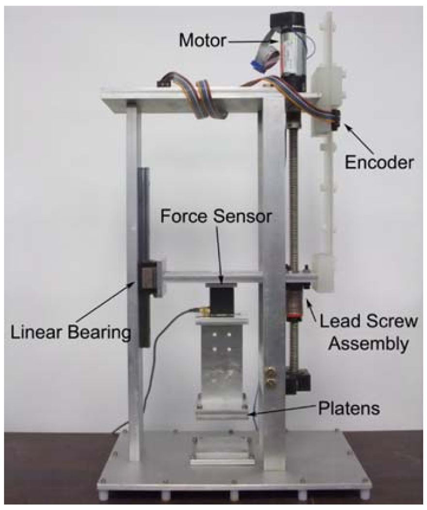 FIGURE 1