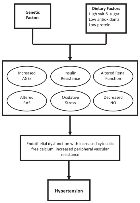 Figure 1)