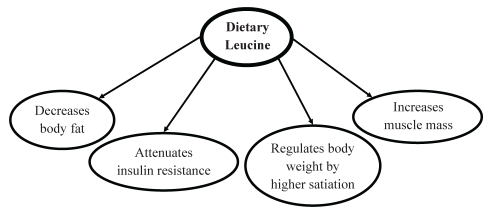 Figure 3)