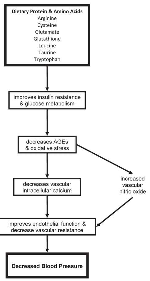 Figure 4)