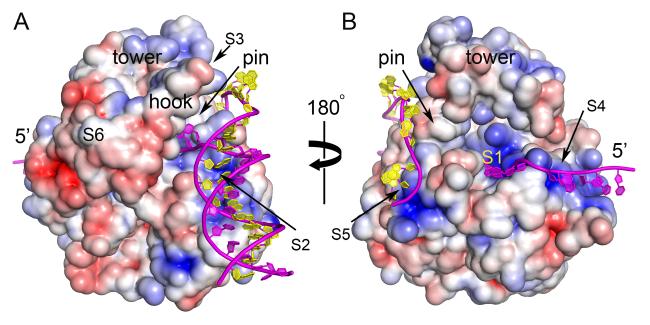 Figure 7