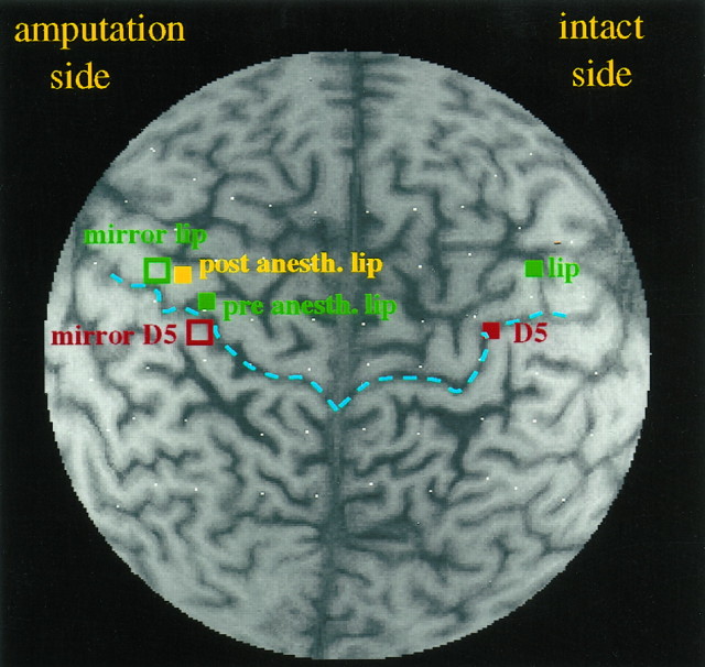 Fig. 2.