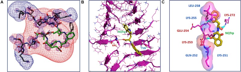 FIGURE 2