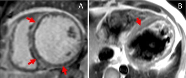 Figure 3.