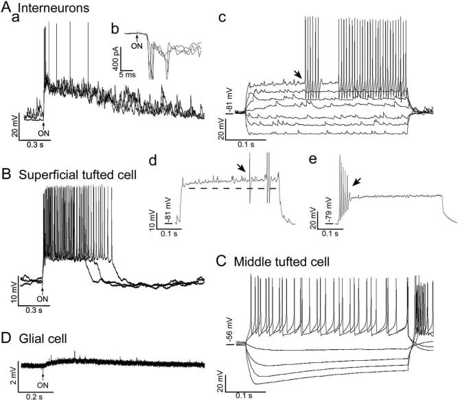 Fig. 4