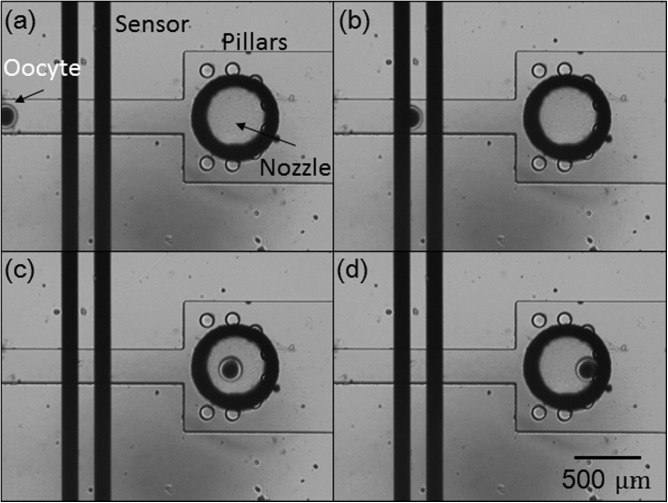 Figure 13