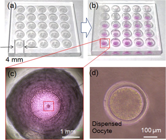 Figure 16