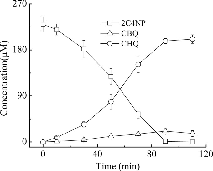 FIG 2