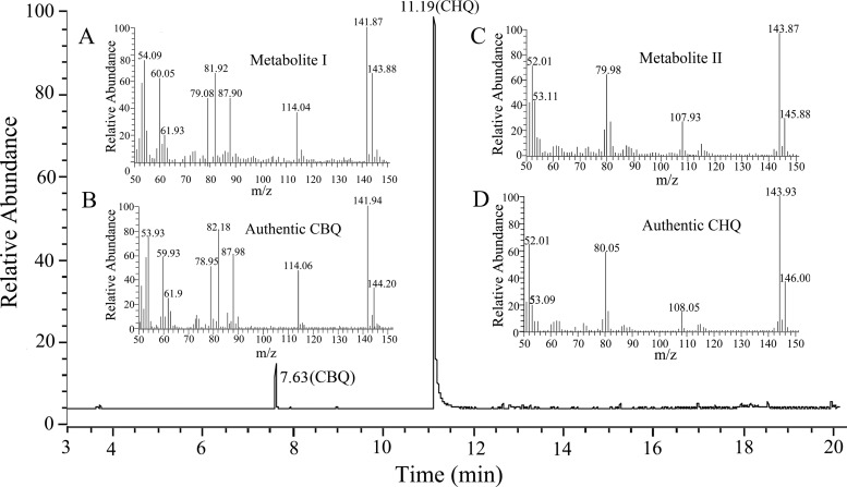 FIG 1