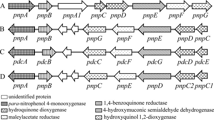 FIG 9