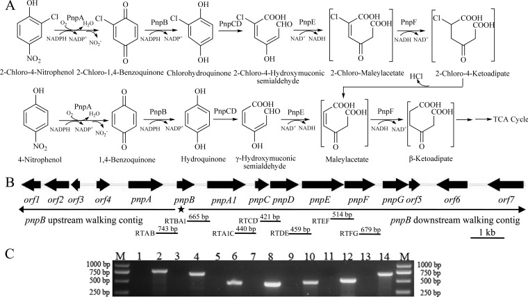 FIG 3