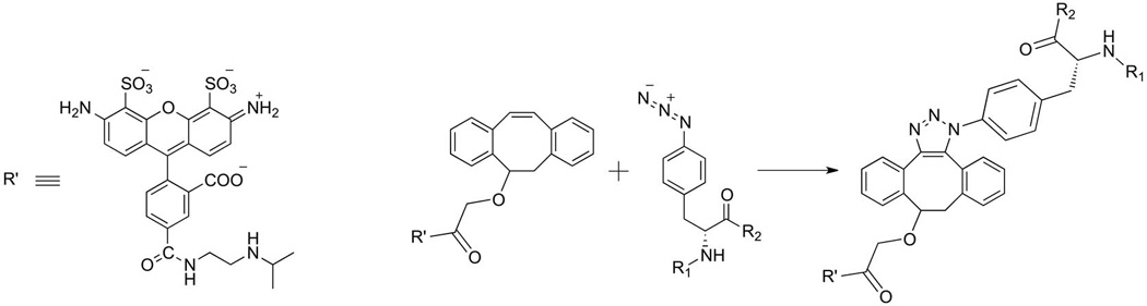 Scheme 2