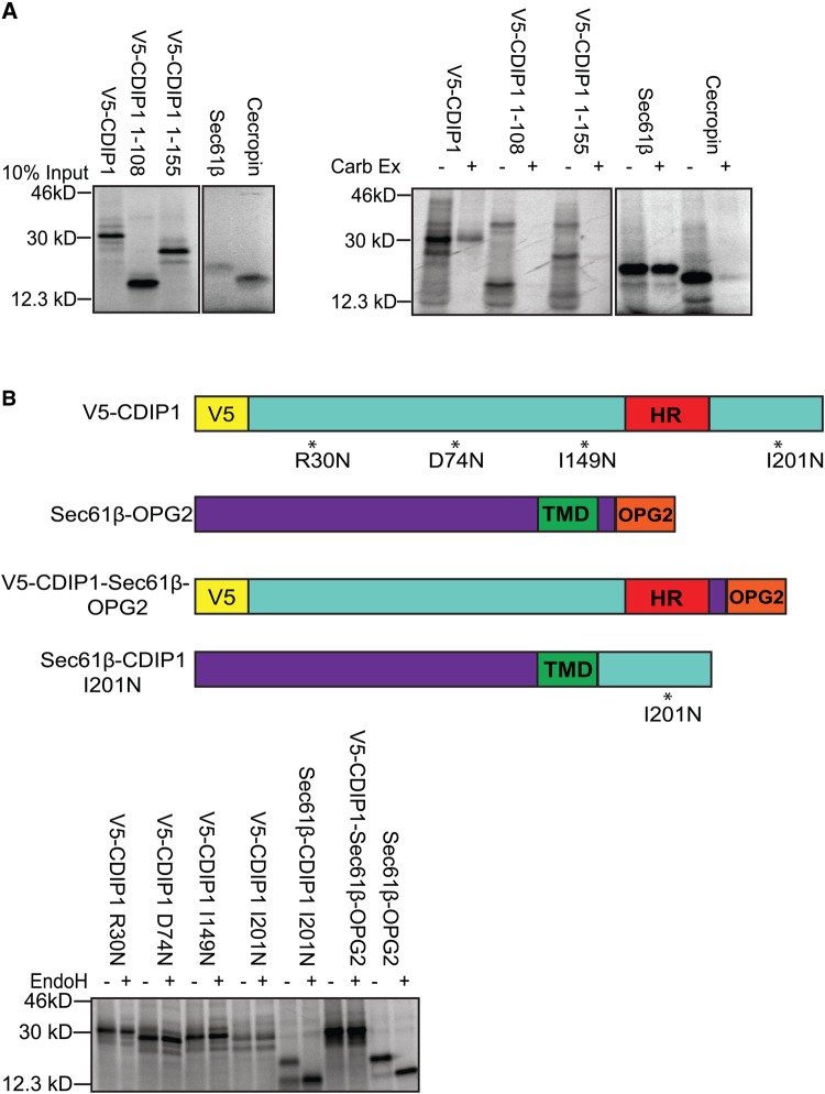 Figure 5.