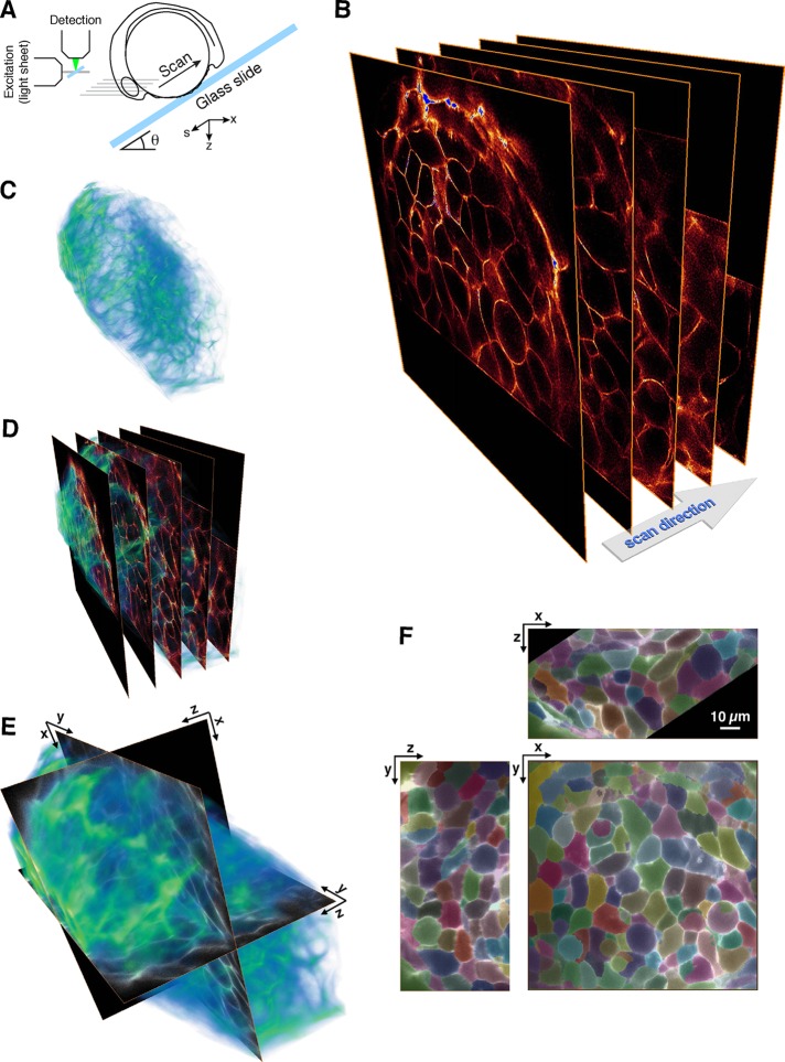 FIGURE 7: