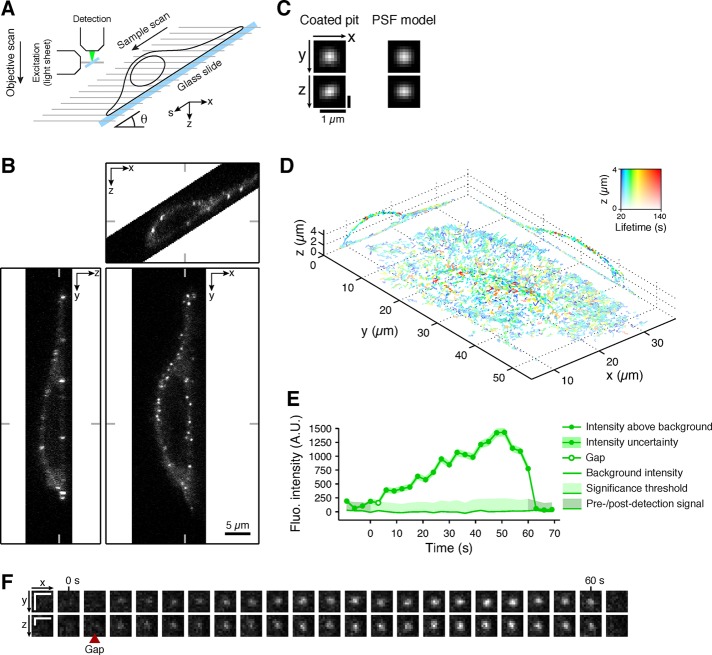 FIGURE 3: