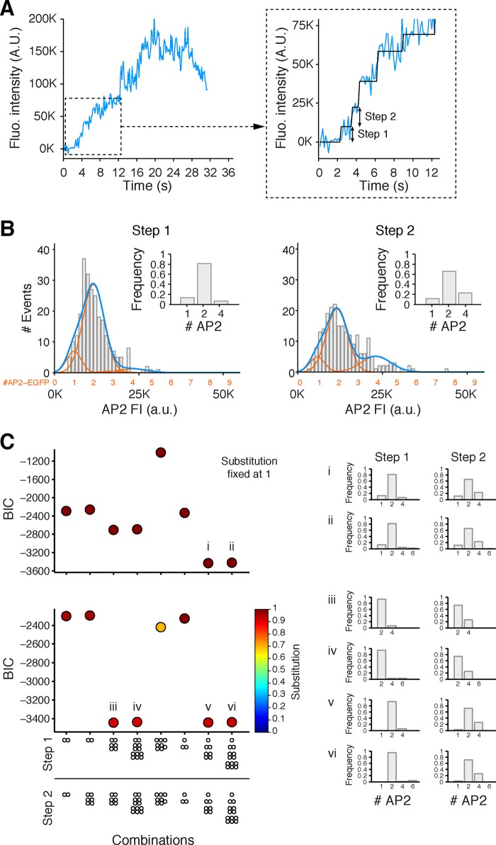 FIGURE 2: