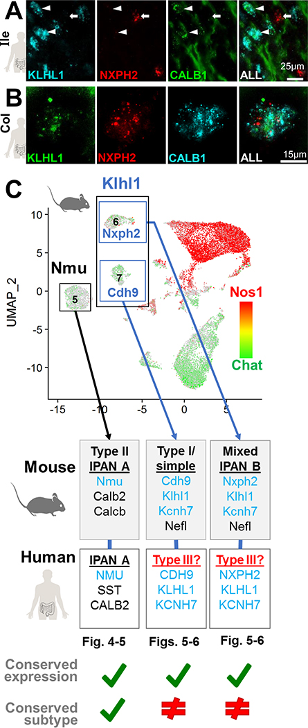 Figure 6.