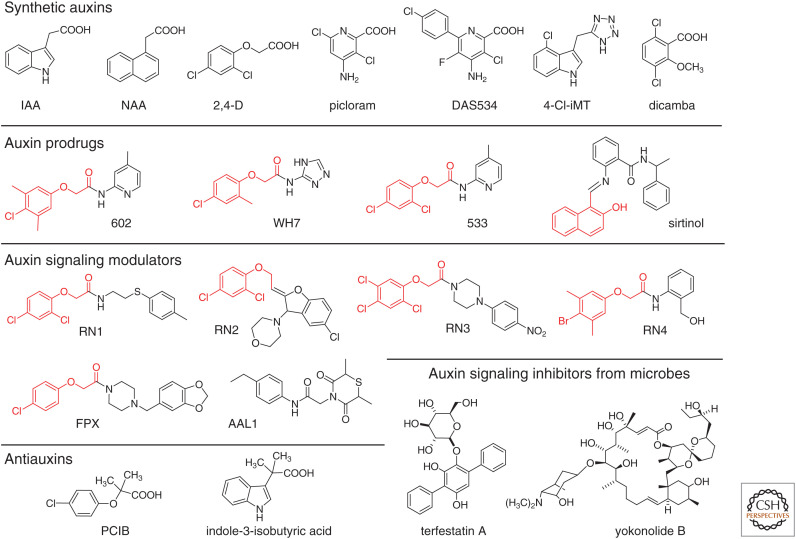 Figure 1.