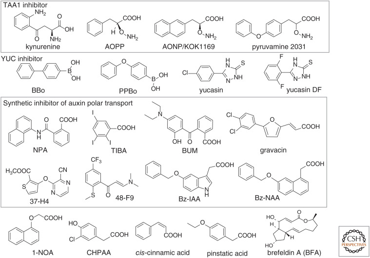 Figure 3.