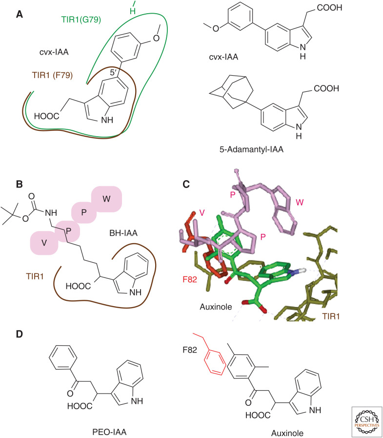 Figure 2.