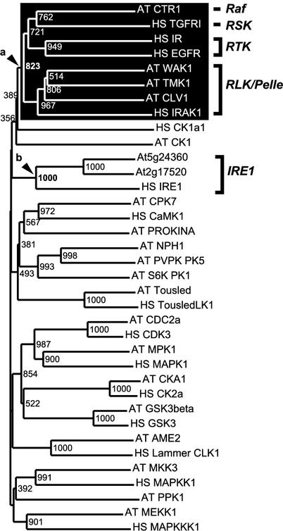 Figure 3.