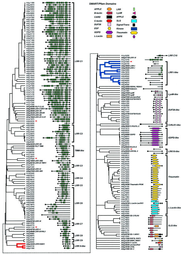 Figure 5.