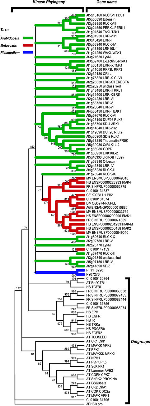 Figure 2.