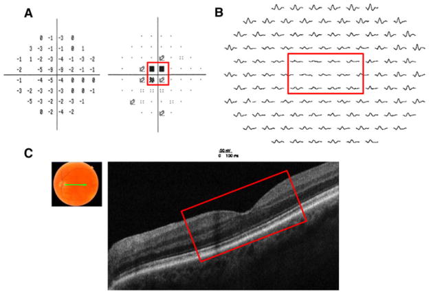 Fig. 3