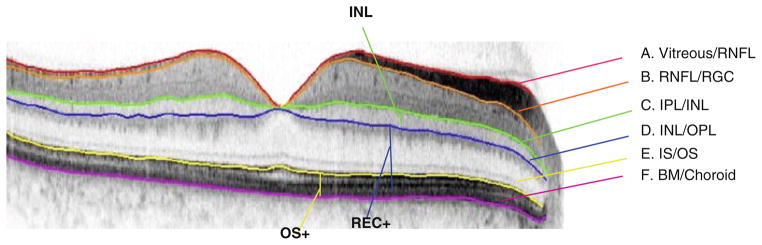 Fig. 1