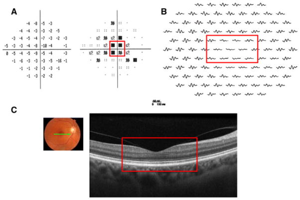 Fig. 4