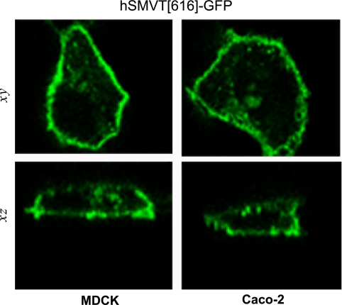 Fig. 4.